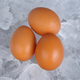 Illustration for article titled Are Your Eggs Dying? Yes, Yes They Are. Thank God for Eggsurance.